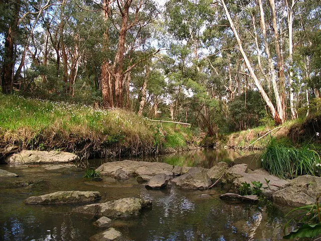 Mullum Mullum Creek
