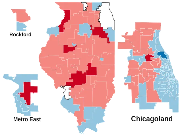 2010 Illinois House of Representatives election
