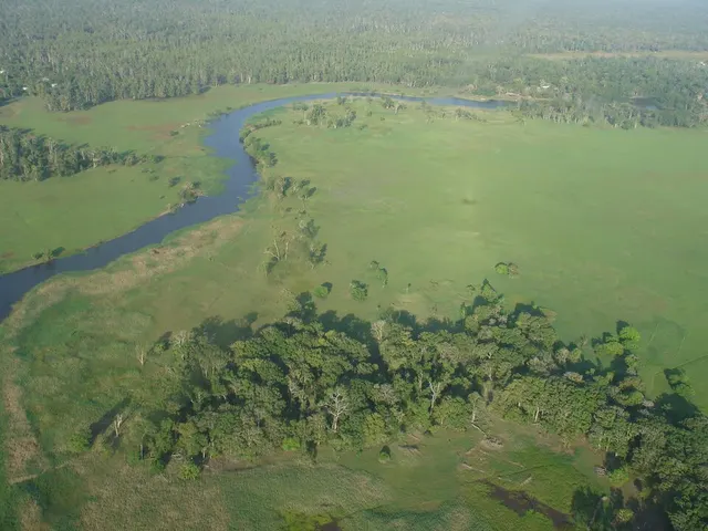 Trans-Fly savanna and grasslands