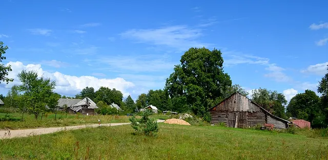 Šarkiškės