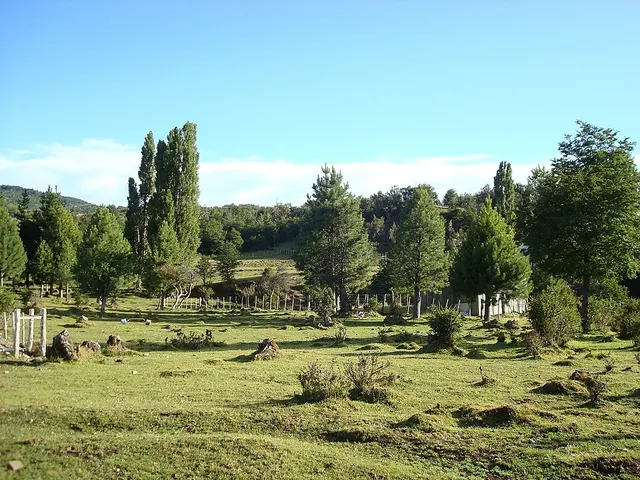 Cerro Centinela