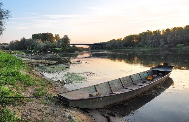 Donja Gradina