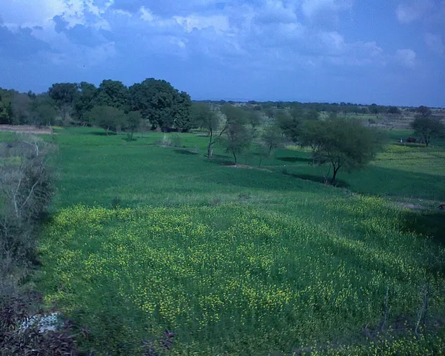 Sadwal Kalan