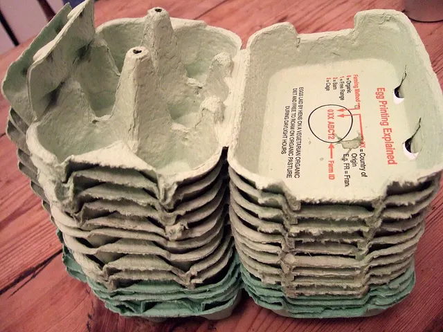 Disposable product