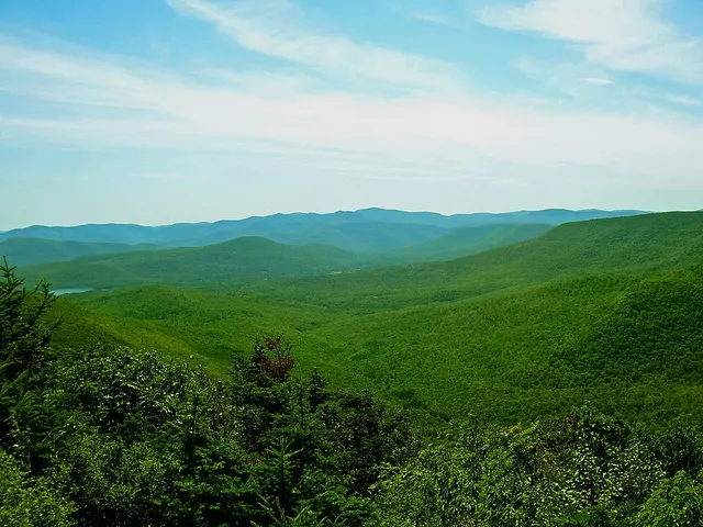 Allegheny Highlands forests
