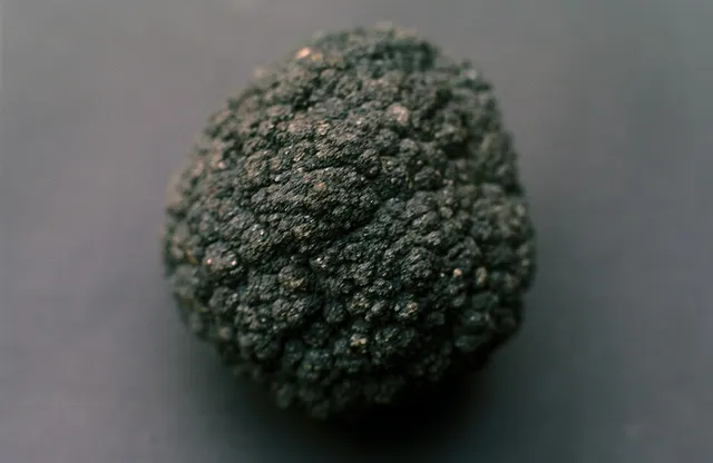 Nodule polymétallique