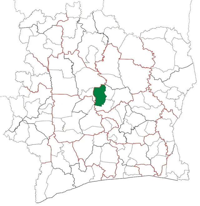 Béoumi Department