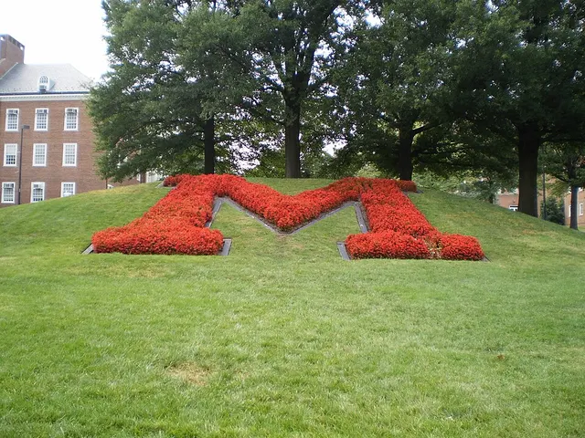 The "M"