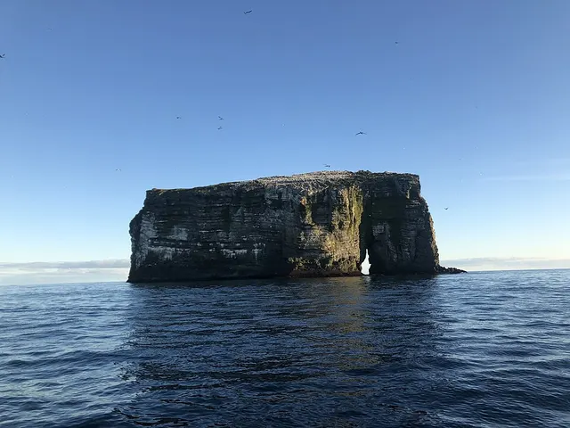 Súlnasker
