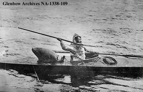 Harpoon
