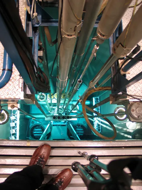 Swimming pool reactor