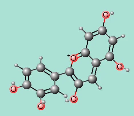Anthocyanidine