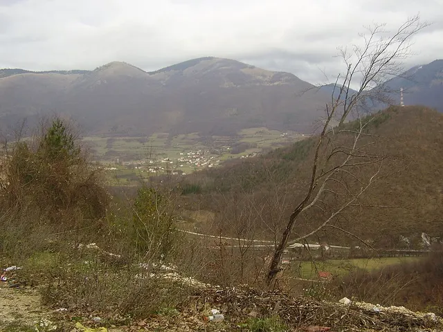 Ždrimci