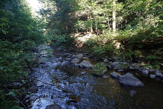 Little Carp River