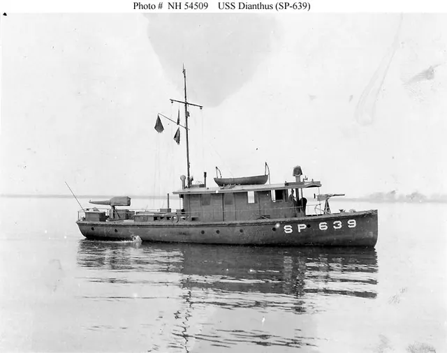 USS Dianthus