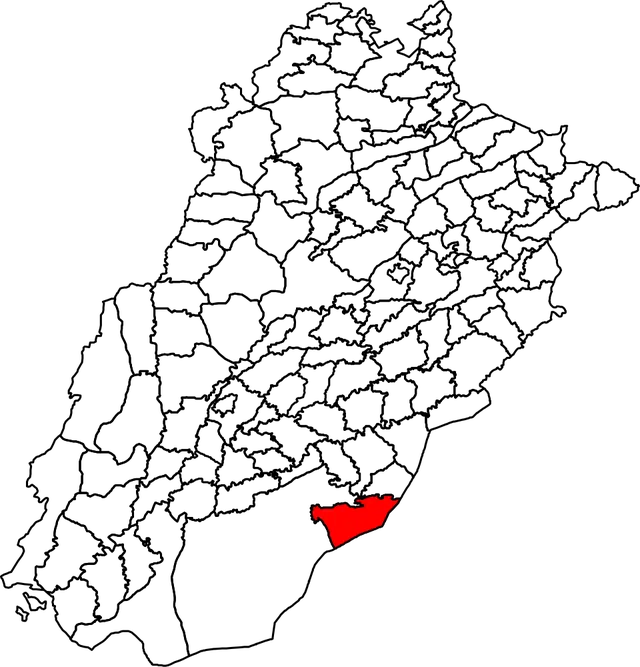 Fort Abbas Tehsil