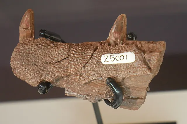 Langlieria