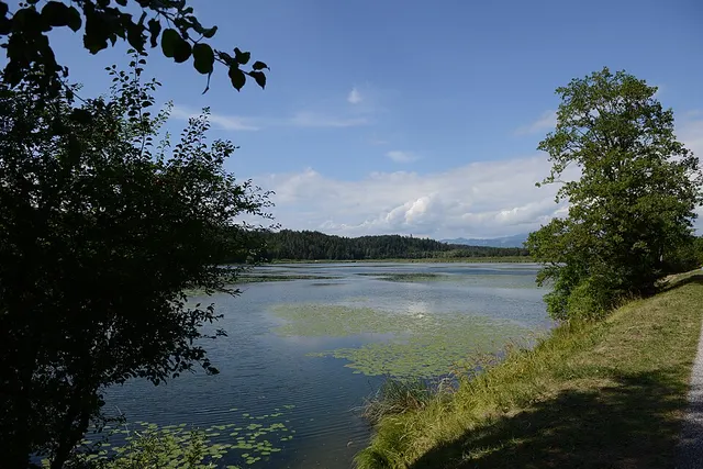 Gösselsdorfer See
