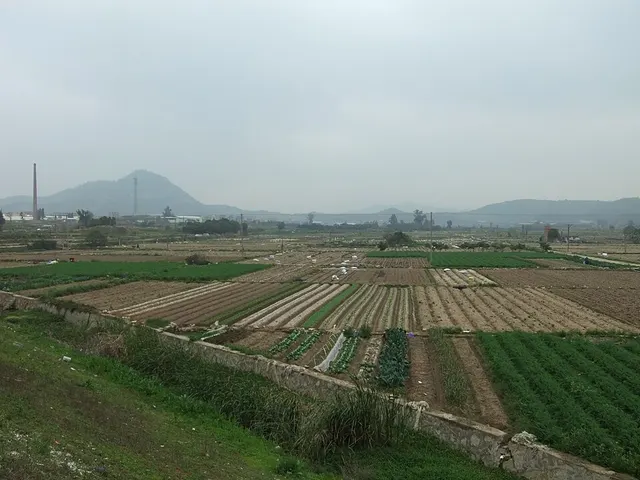 Xiang'an, Xiamen