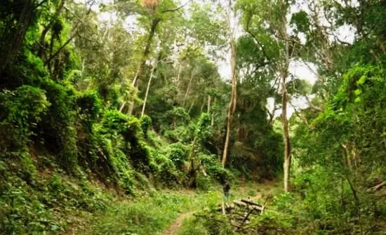 De Hel Nature Area