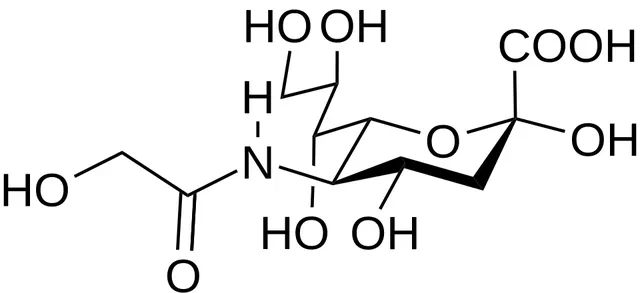 N-Glycolylneuraminic acid