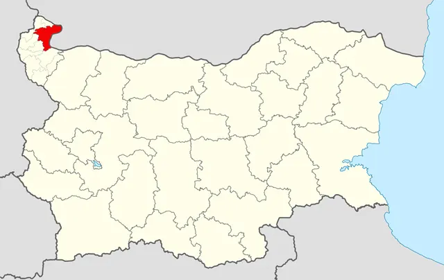 Vidin