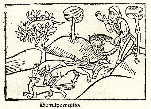 The Fox and the Cat