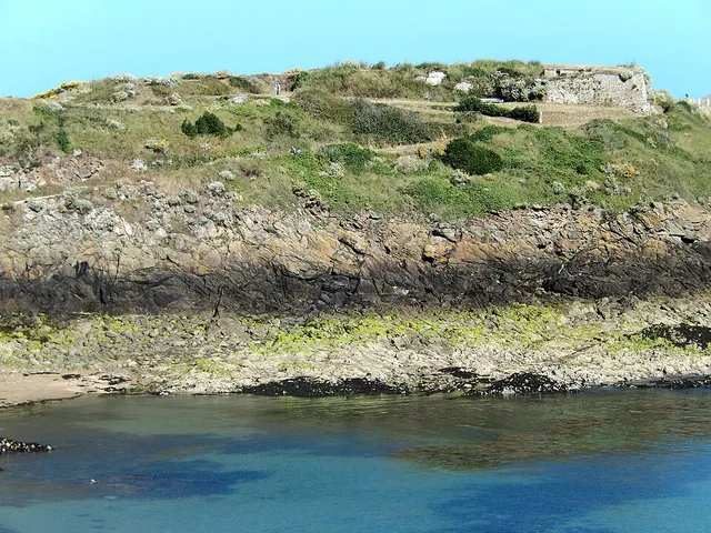Intertidal zone