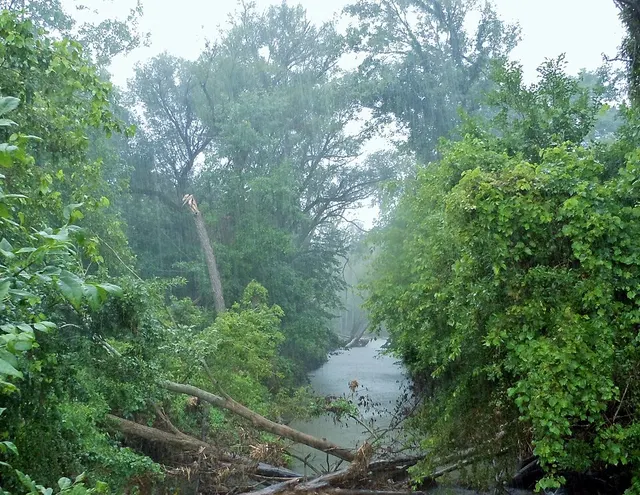 East Arm Little Calumet River