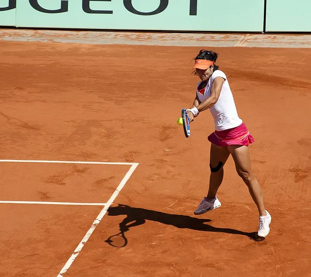 2011 French Open – Women's singles