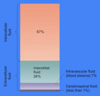Body fluid