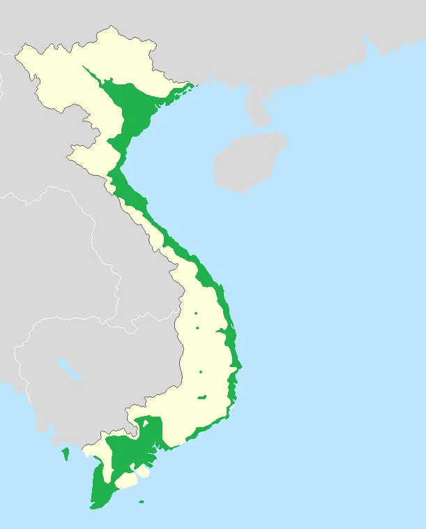 Vietnamese language
