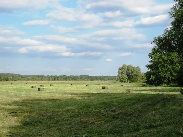 Pavlovsky District, Voronezh Oblast