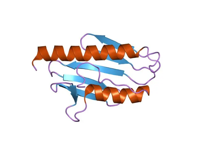 Frataxin-like domain