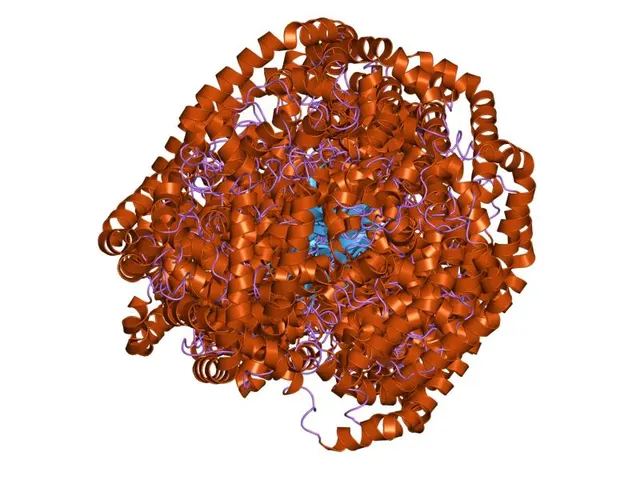 Glutaredoxin 2