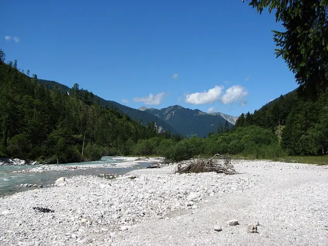 Rißbach