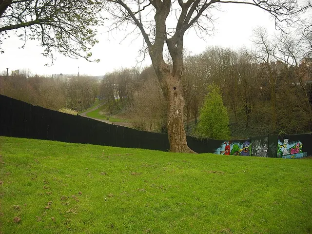 Alexandra Park, Belfast