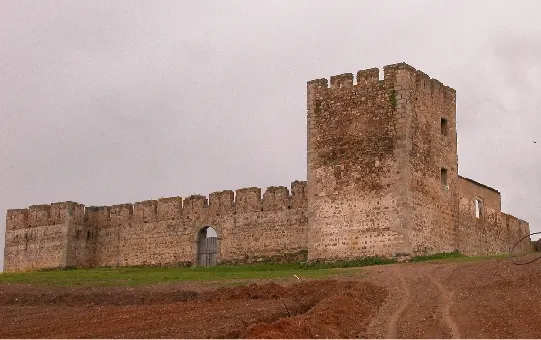 Castle of Valongo