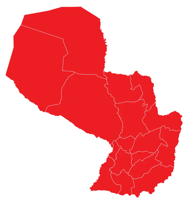 1989 Paraguayan general election