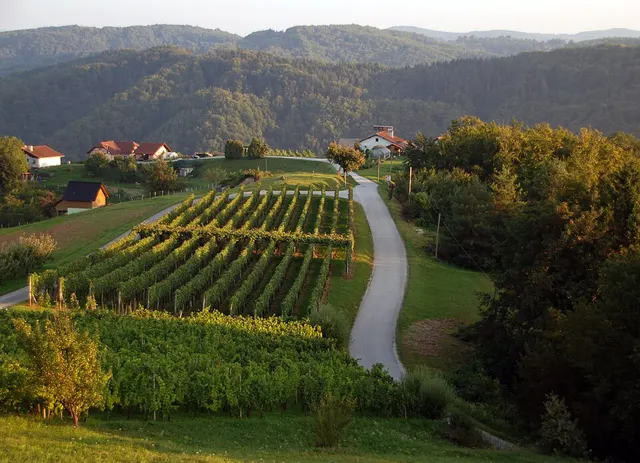 Trščina