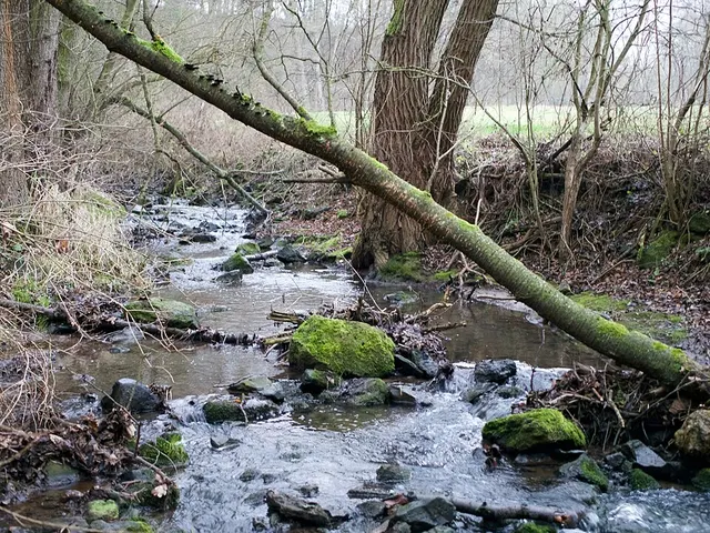 Grenzebach