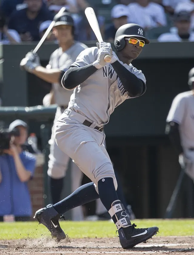 Didi Gregorius
