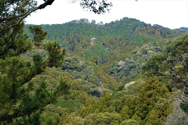 Mount Karasuba