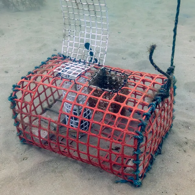 Crab trap