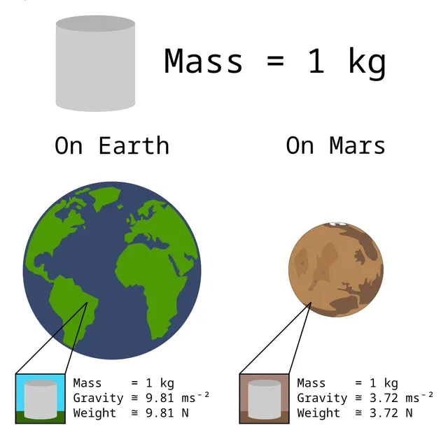 Weight