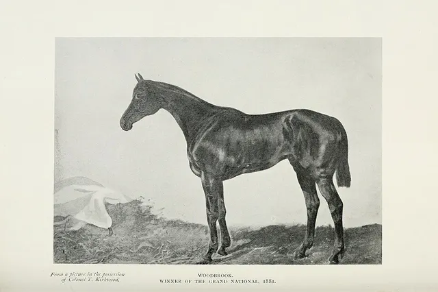 1881 Grand National