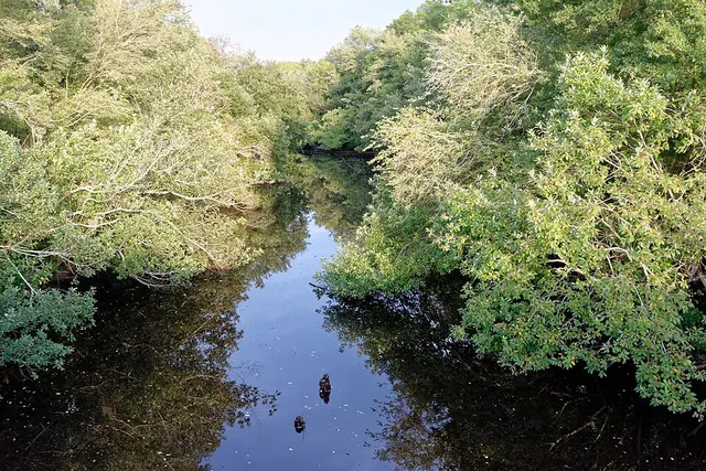 Satilla River