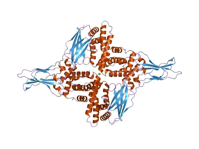 Interferon gamma receptor (IFNGR1) family