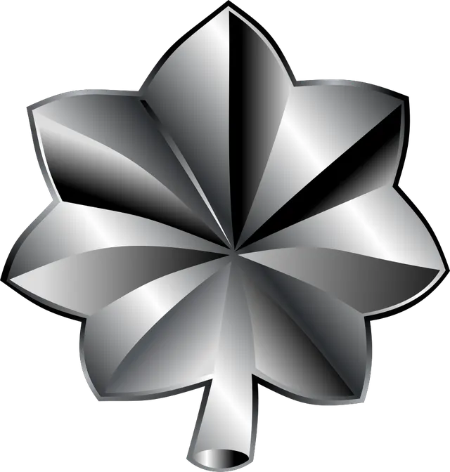 Lieutenant colonel