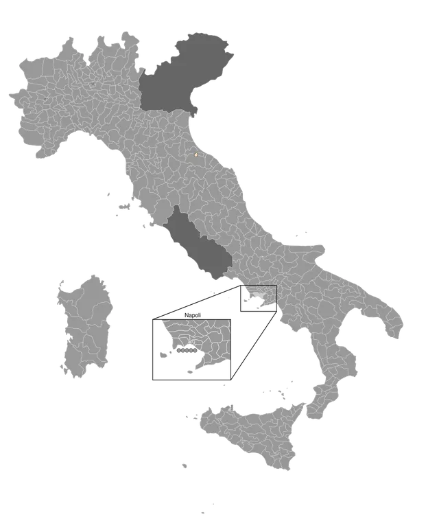1861 Italian general election